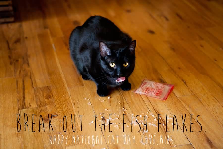 Break Out The Fish Flakes Happy National Cat Day Love, Nibs