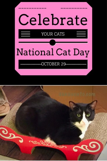 Celebrate Your Cats National Cat Day October 29, 2016