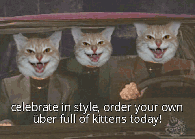 Celebrates In Style, Order Your Own Uber Full Of Kittens Today National Cat Day