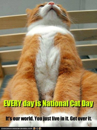 Every Day Is National Cat Day It's Our World You Just Live In It. Get Over It