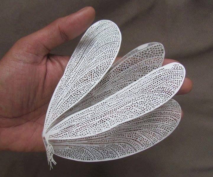 Feathers Like Papercut By Parth Kothekar