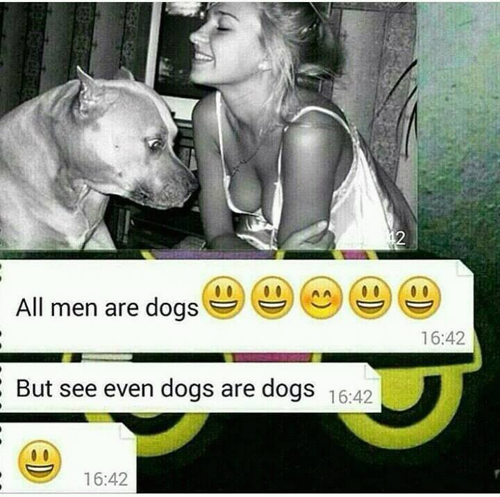 Funny Dogs are Dogs