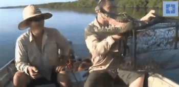 Funny Prank – Crocodile Fishing