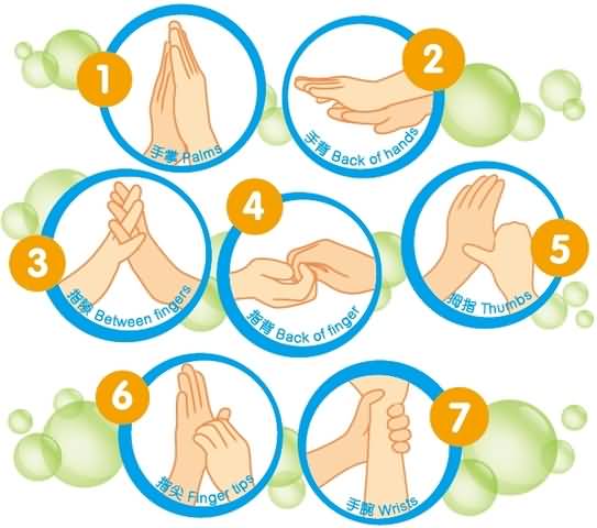 Global Handwashing Day Steps Of Hand Washing Picture