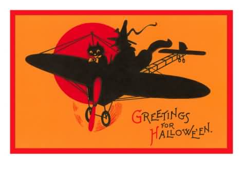 Greetings For Halloween Cat And Witch Airplane Picture