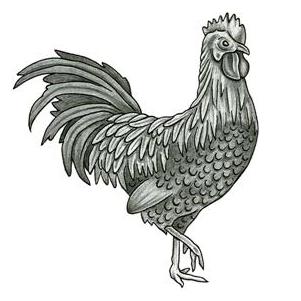 Grey Rooster Tattoo Design