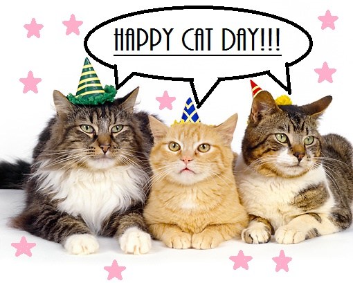 Happy Cat Day Celebration Picture