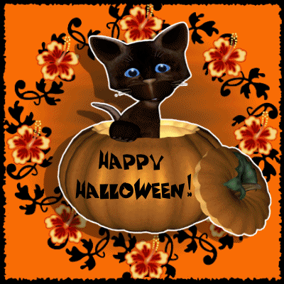 Happy Halloween 2016 Cat In Pumpkin Animated Picture