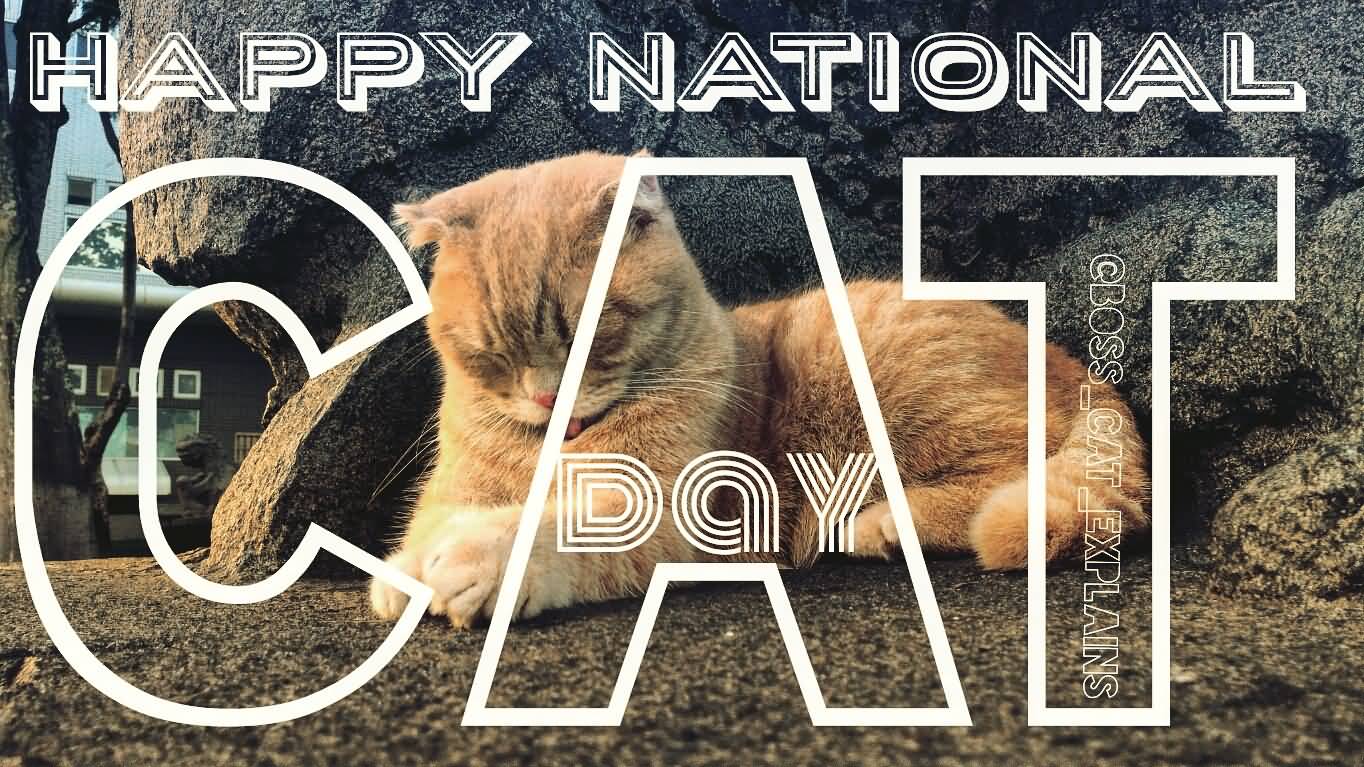 Happy National Cat Day 2016 Image