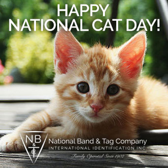 Happy National Cat Day 2016 Picture For Facebook