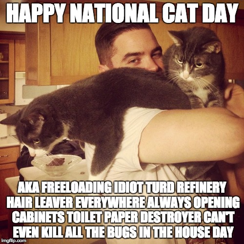 Happy National Cat Day 2016 Wishes