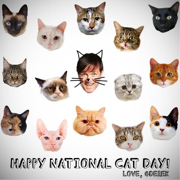 Happy National Cat Day Cat Faces