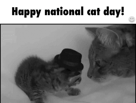 Happy National Cat Day Cats Fight Animated Picture