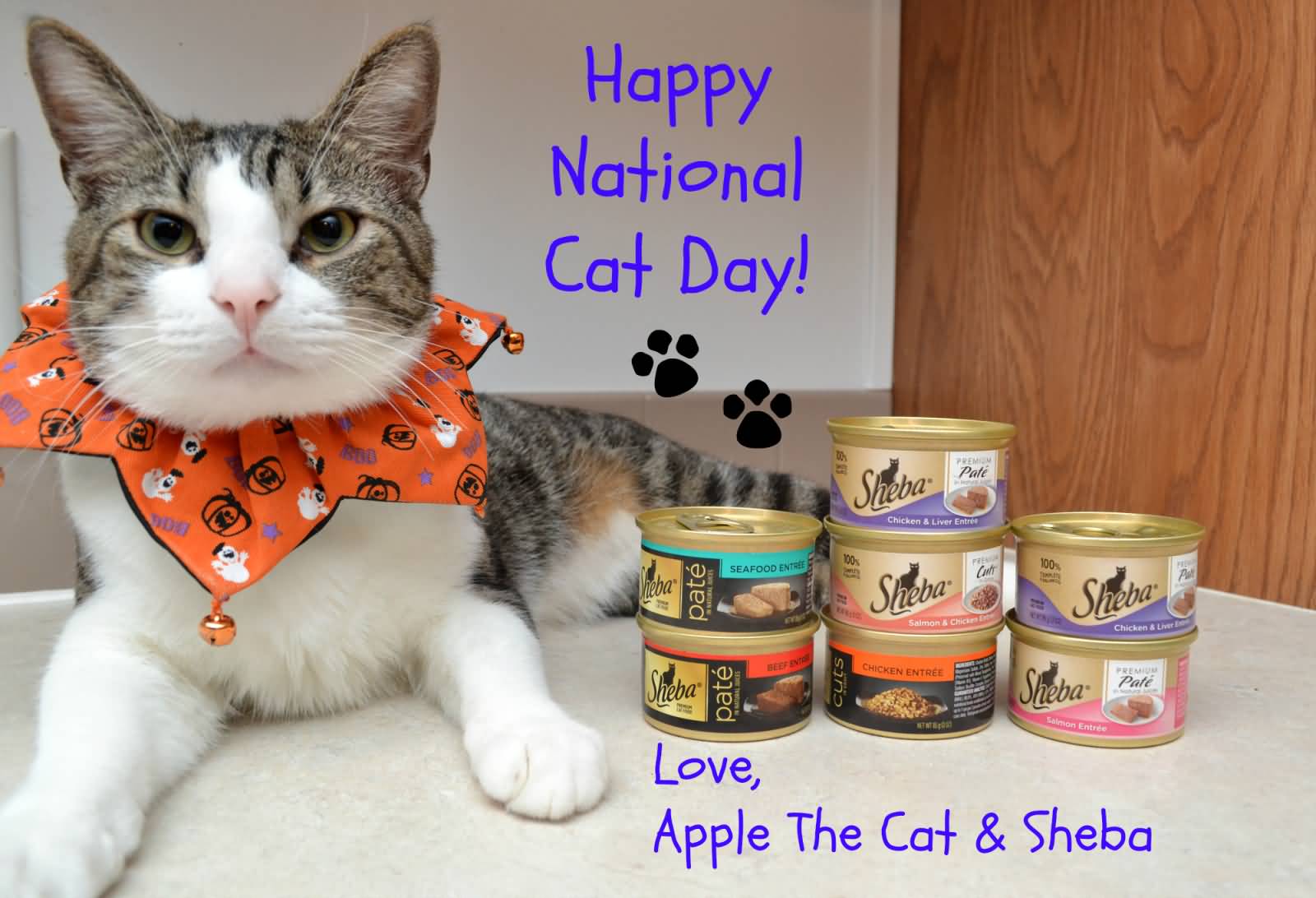 Happy National Cat Day Love, Apple The Cat & Shebo