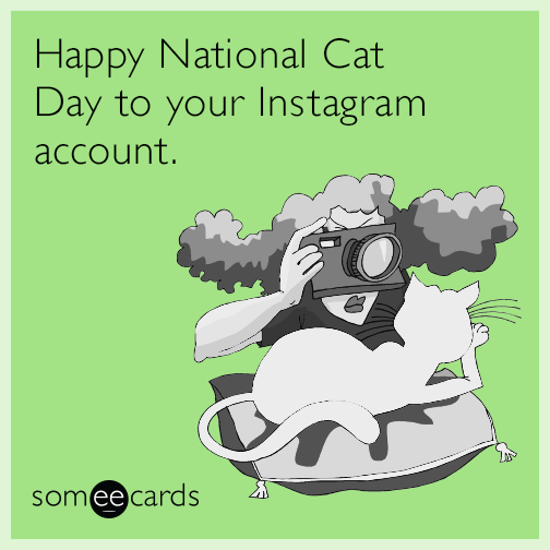 Happy National Cat Day To Your Instagram Account