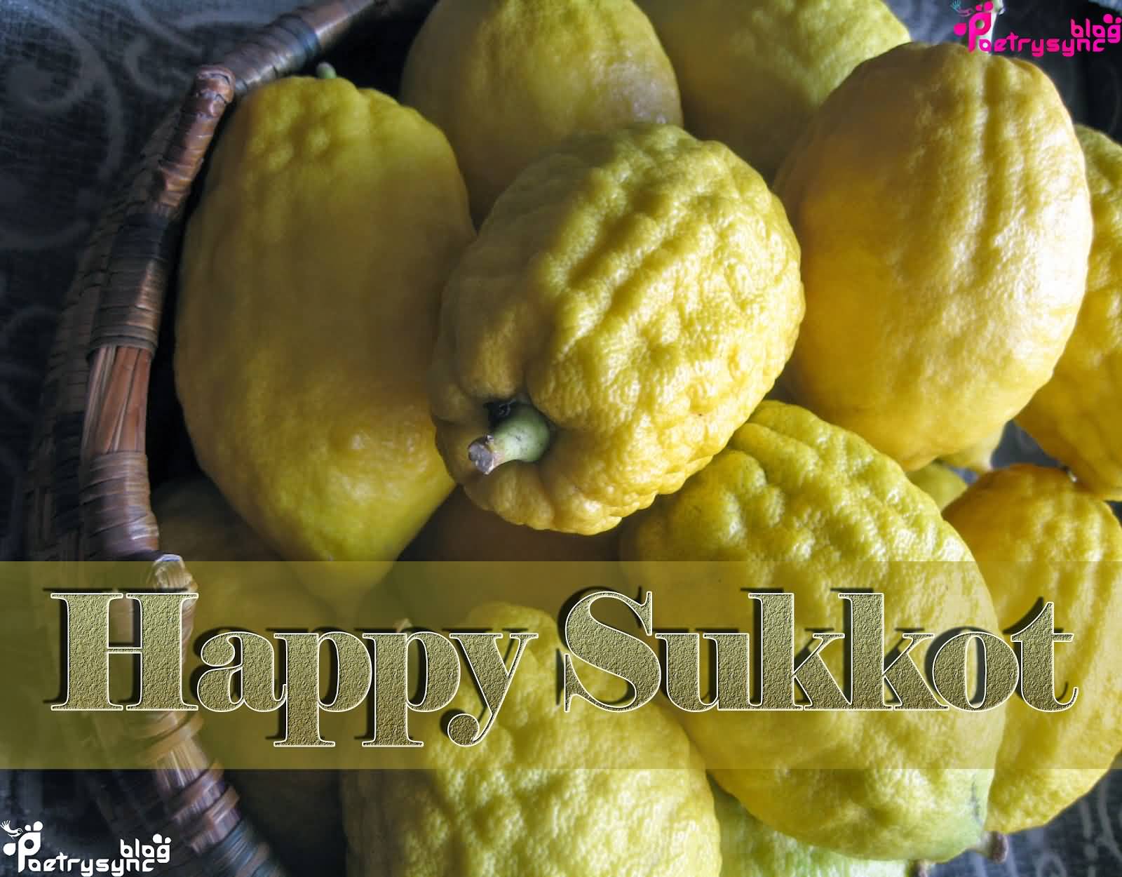 Happy Sukkot Sweet Citron Fruit For You
