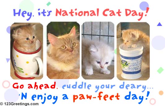 Hey It's National Cat Day Go Ahead Cuddle Your Deary N Enjoy A Paw Feet Day