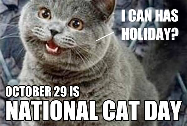 I Can Has Holiday October 29 Is National Cat Day