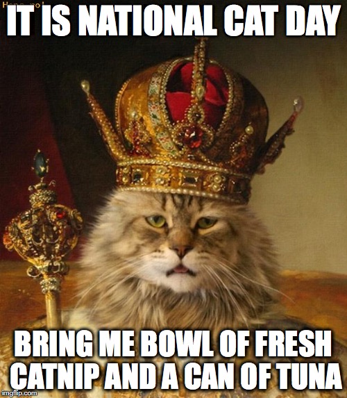 It Is National Cat Day Bring Me Bowl Of Fresh Catnip And A Can Of Tuna