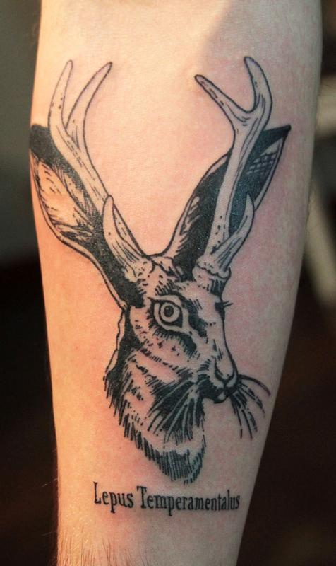Jackalope Tattoo On Forearm By Gene Coffey