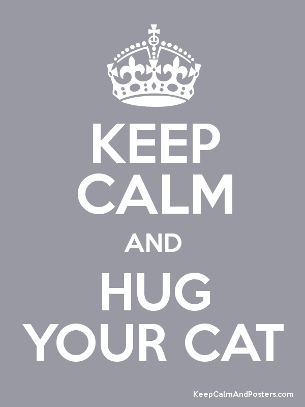 Keep Calm And Hug Your Cat Happy National Cat Day