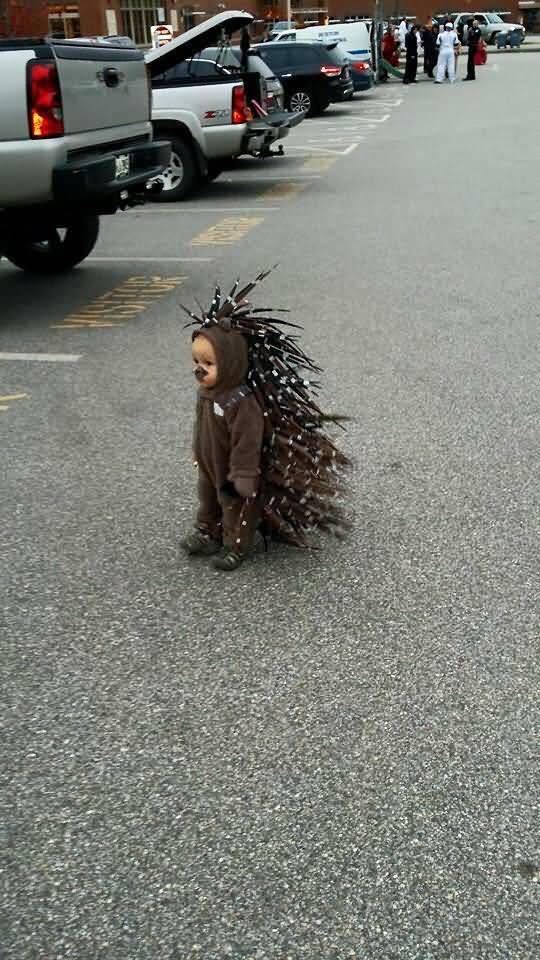 Little Kid Wearing Porcupine Costume For Halloween