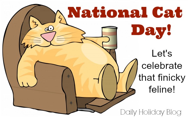 National Cat Day Let's Celebrate That Finicky Feline