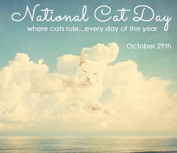National Cat Day Where Cats Rule Every Day Of The Year October 29th