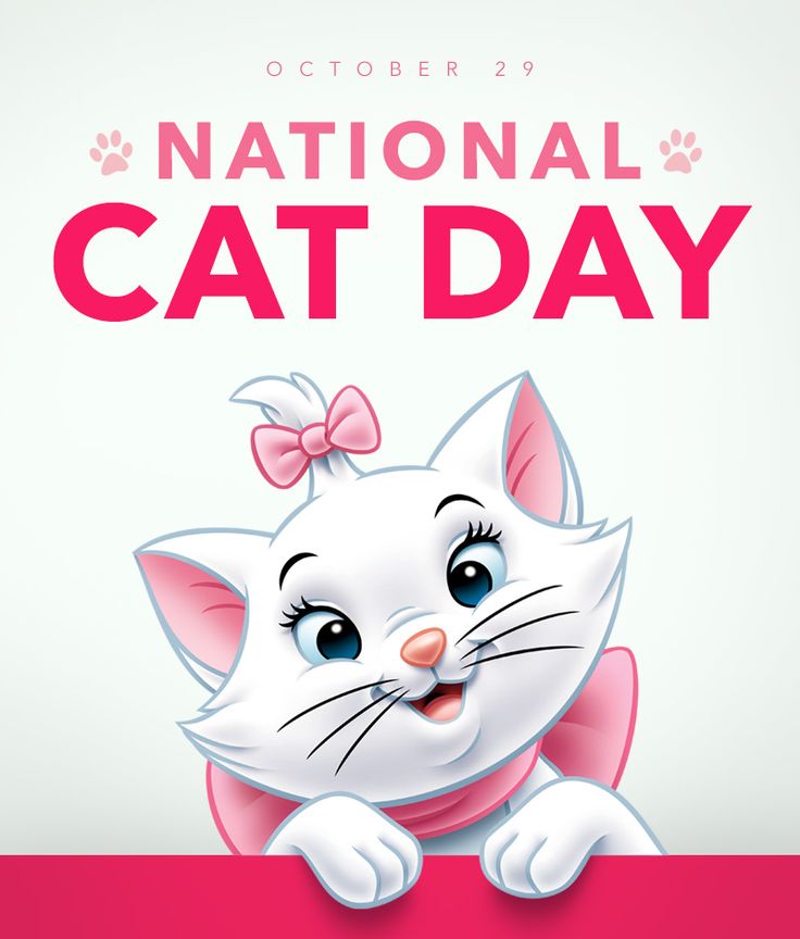 October 29 National Cat Day Kitty Greeting Card