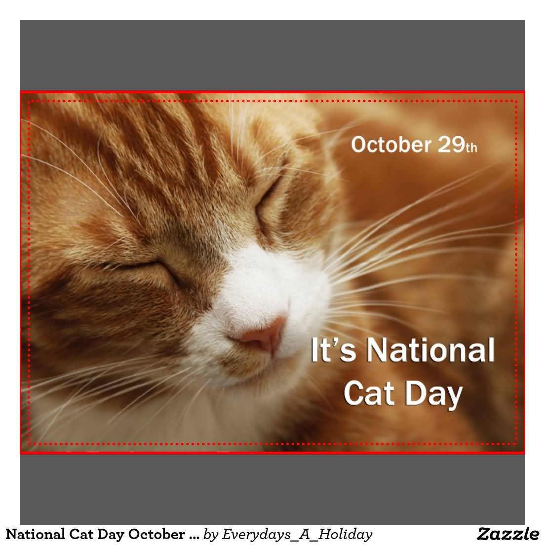 October 29th It's National Cat Day Greeting Card