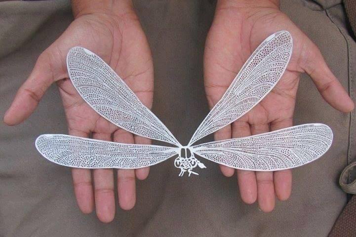 Papercut Butterfly By Parth Kothekar