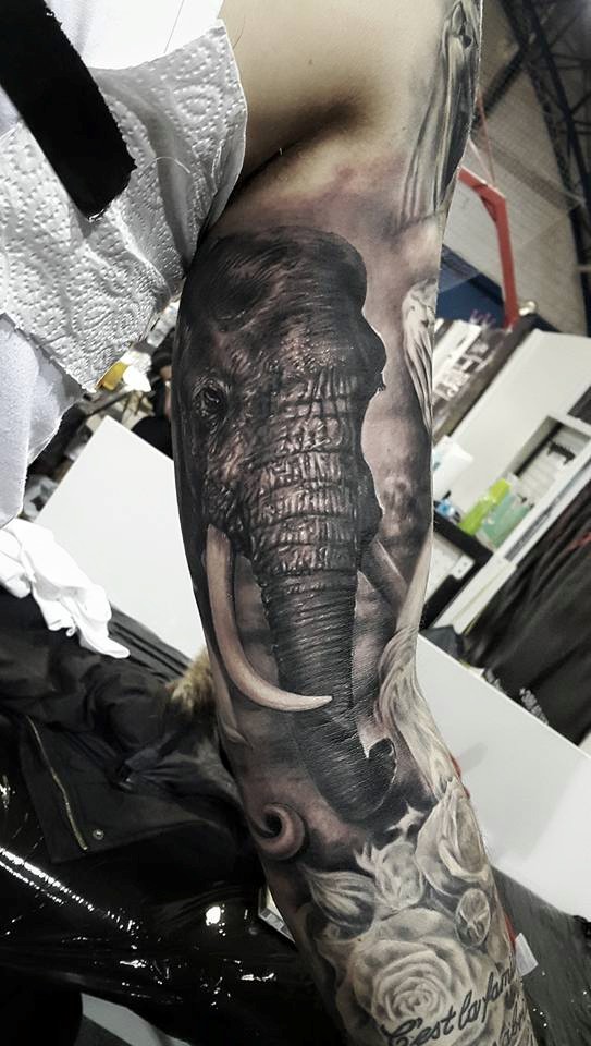 Realistic Elephant Tattoo On Inner Bicep by Laibach Ink