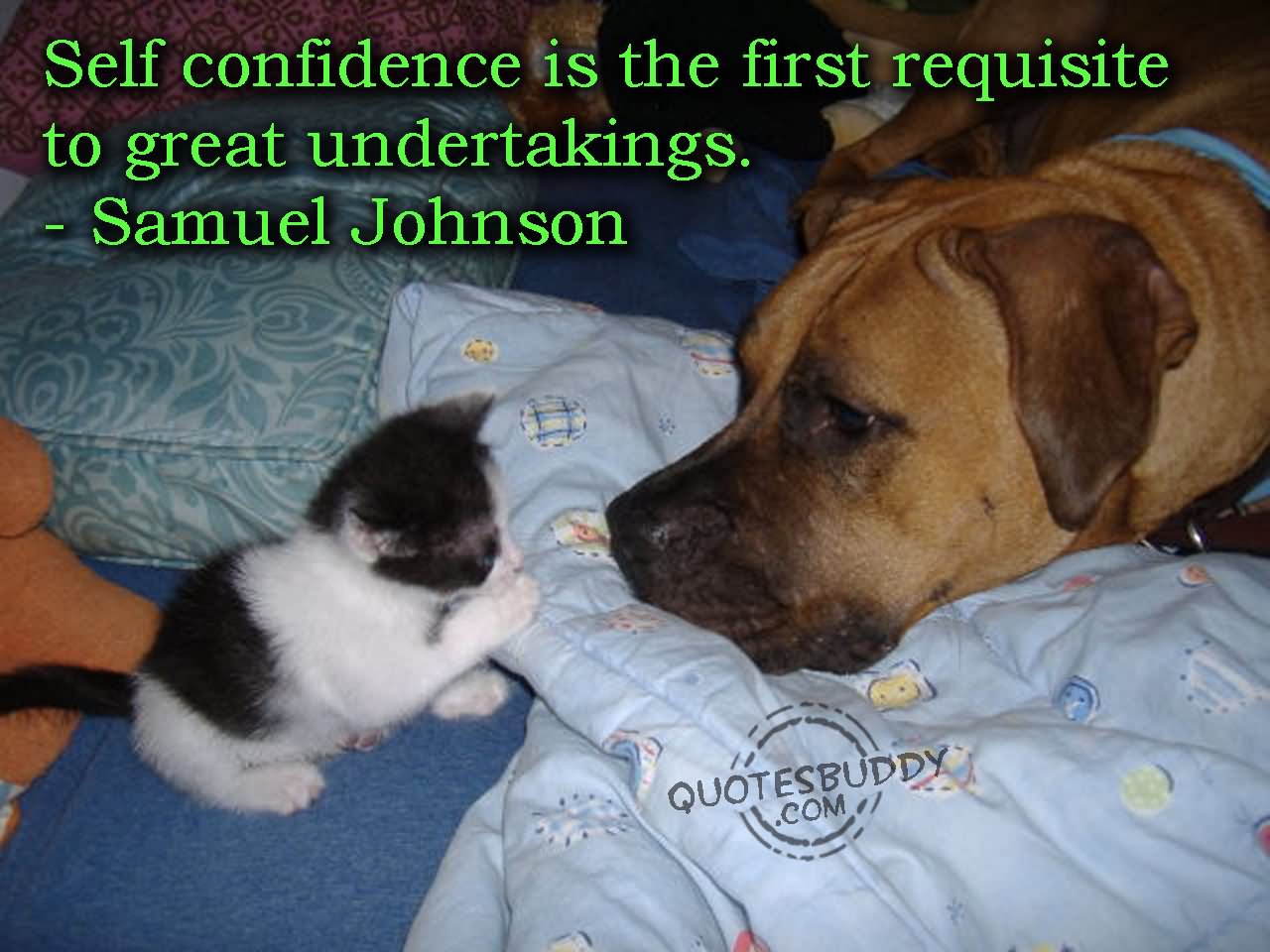 Self-confidence is the first requisite to great undertakings.