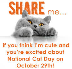 Share Me If You Think I'm Cute And You're Excited About National Cat Day On October 29th