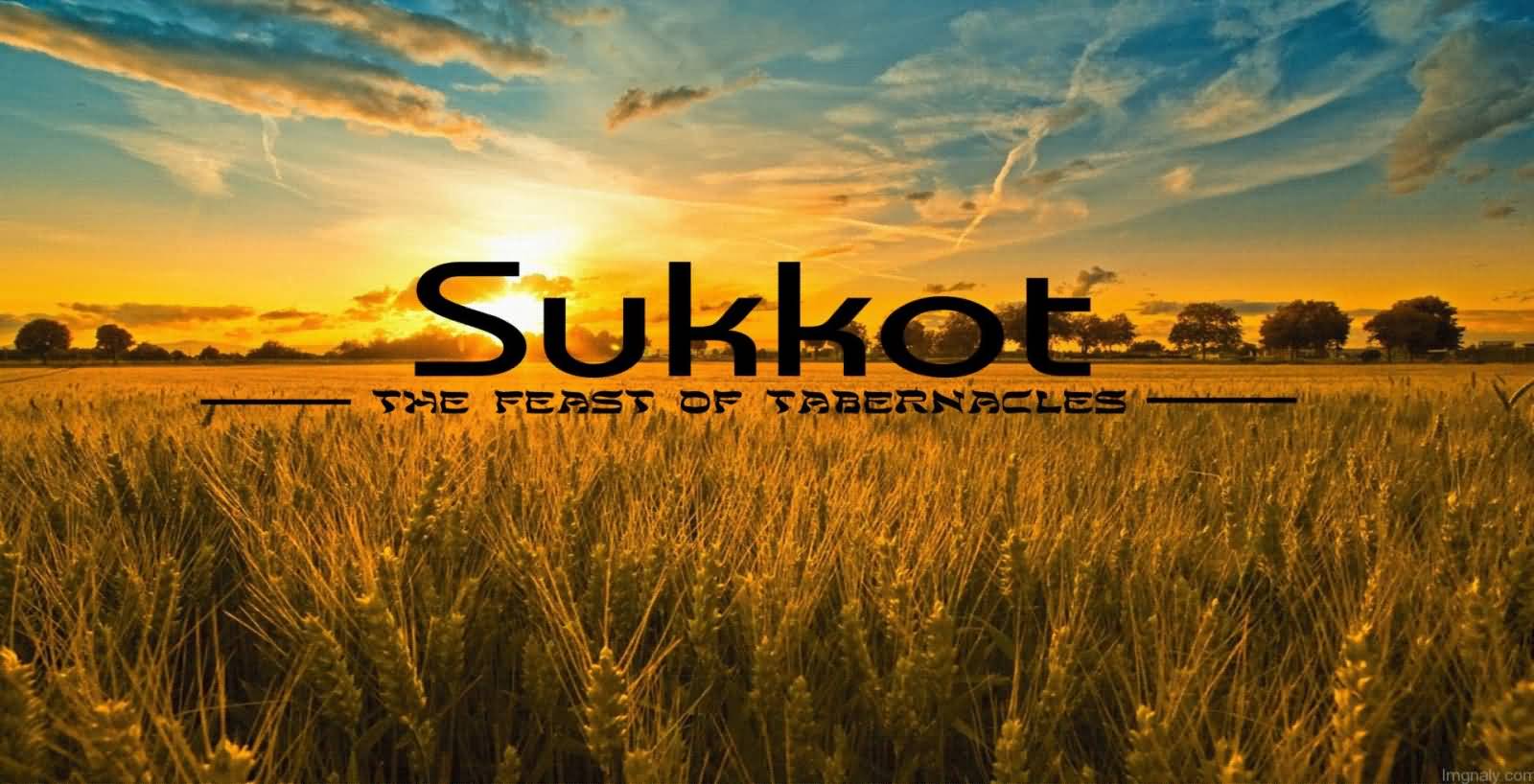 Sukkot The Feast Of Tabernacles