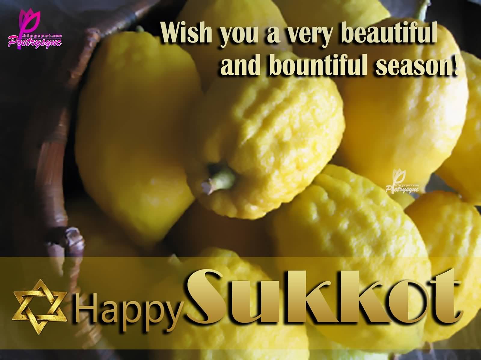 Wish You A Very Beautiful And Bountiful Season Happy Sukkot