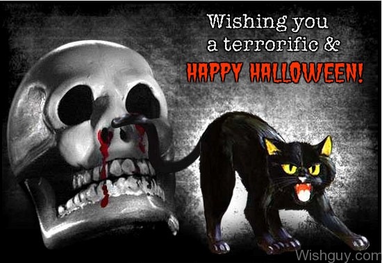 Wishing You A Terroriific & Happy Halloween Skull And Cat