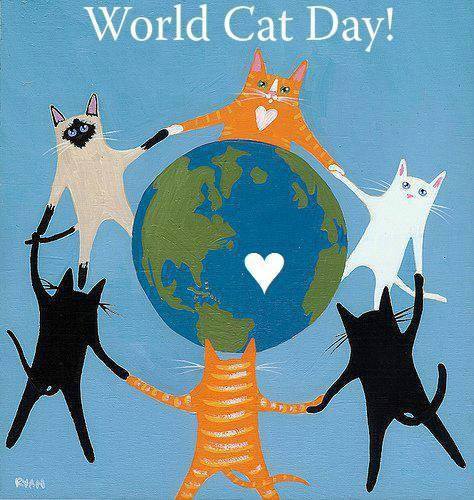 World Cat Day 2016