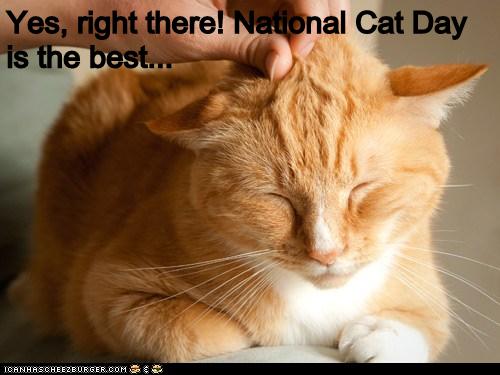 Yes Right There National Cat Day Is The Best