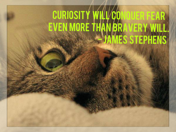 Curiosity will conquer fear even more than bravery will. - James Stephens
