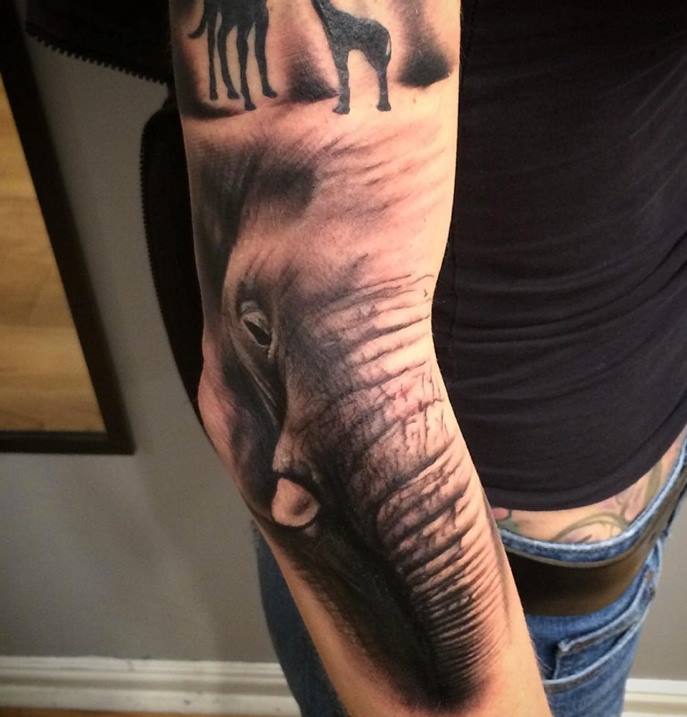 Grey Ink Elephant Head Tattoo On Right Sleeve