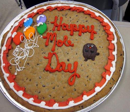 Happy Mole Day Cake For You