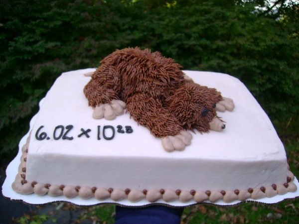 Happy Mole Day Cake Picture