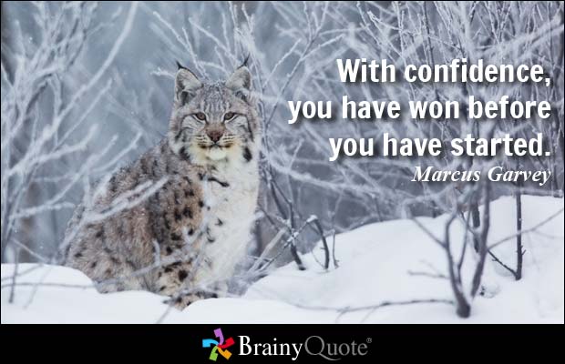 With confidence, you have won before you have started. - Marcus Garvey