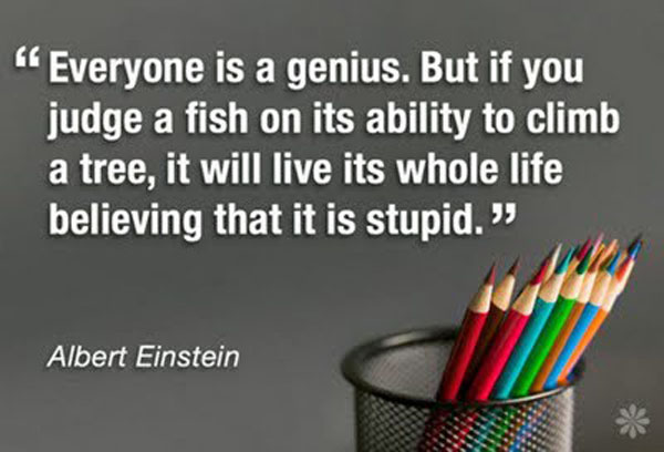 Everybody is a genius. But if you judge a fish by its ability to climb a tree, it will live its whole life believing that it is stupid.  -  Albert Einstein