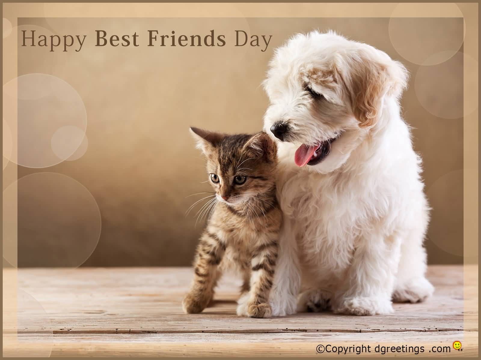 Happy Best Friends Day Cute Cat And Dog Picture