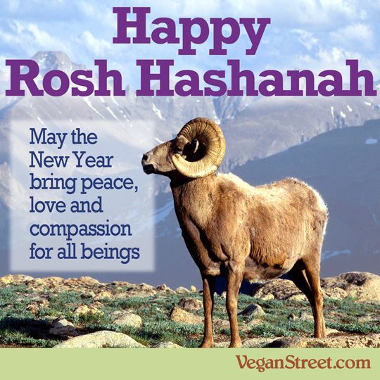 Happy Rosh Hashanah May The New Year Bring Peace, Love And Compassion For All Beings