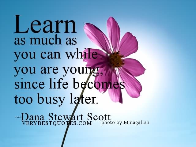 Learn as much as you can while you are young, since life becomes too busy later.  - Dana Stewart Scott.