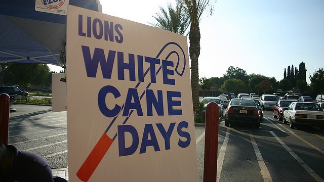Lions White Cane Safety Day Signboard