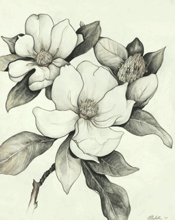 Magnolia Flowers Tattoo Design
